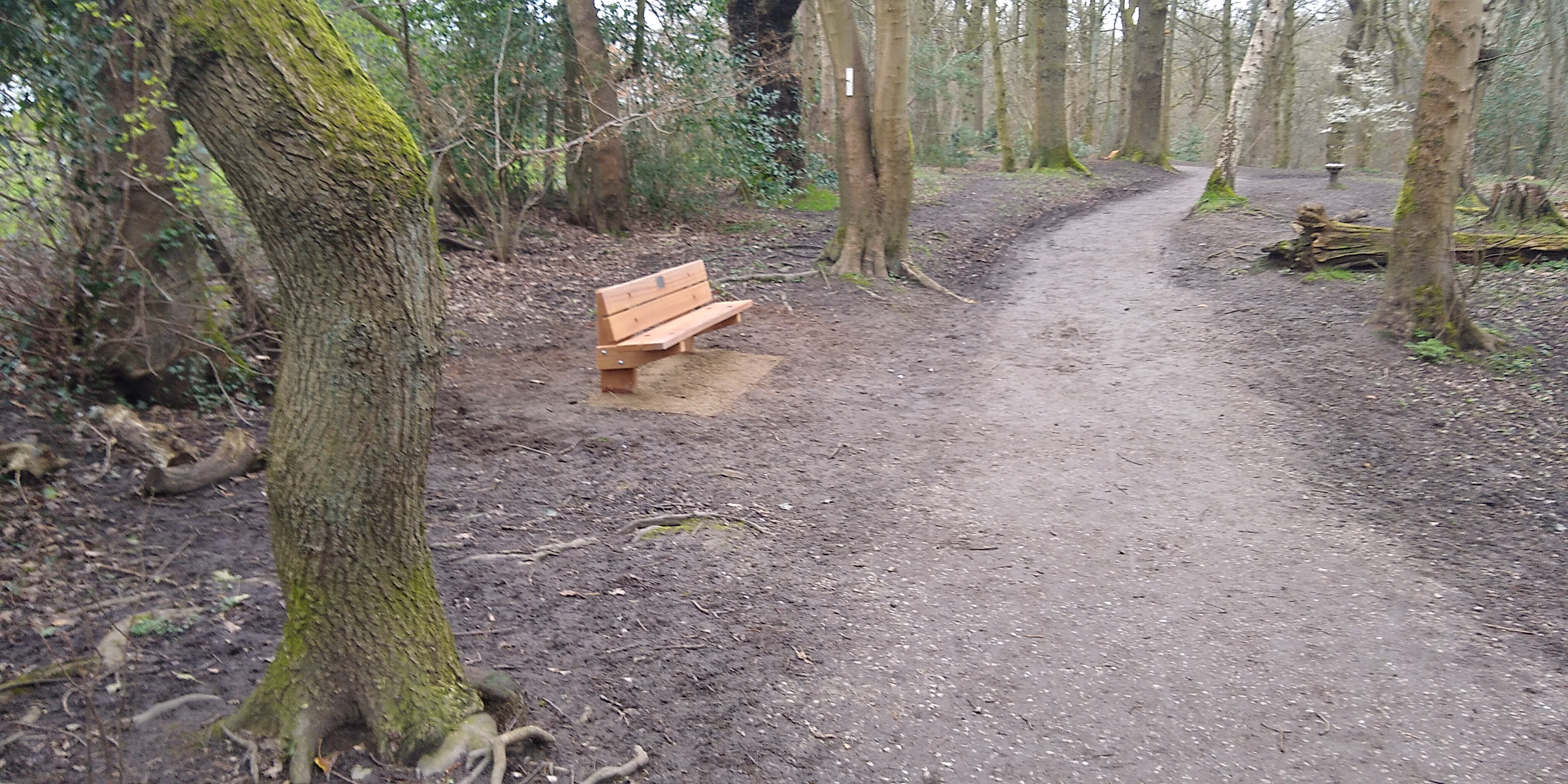 Memorial bench